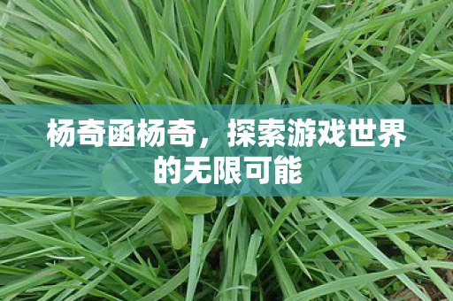 探索游戏世界的无限可能图片