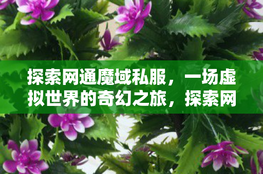 一场虚拟世界的奇幻之旅图片