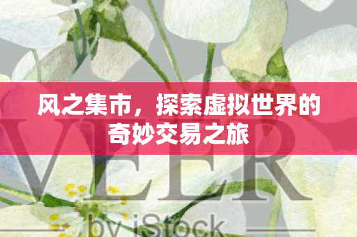 探索虚拟世界的奇妙交易之旅图片