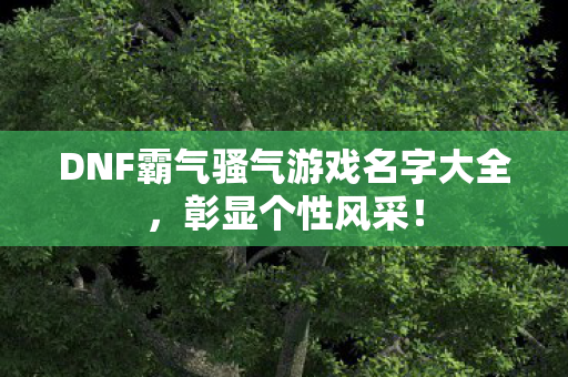 DNF霸气骚气游戏名字大全图片