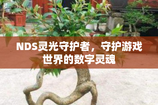 守护游戏世界的数字灵魂图片