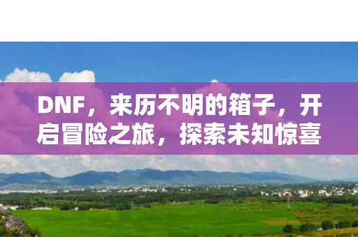 来历不明的箱子图片