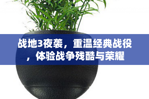 体验战争残酷与荣耀图片
