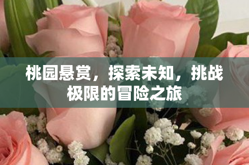挑战极限的冒险之旅图片
