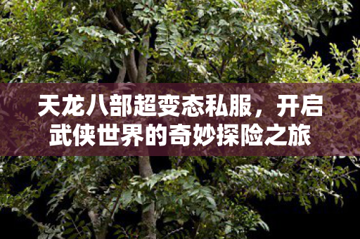 开启武侠世界的奇妙探险之旅图片