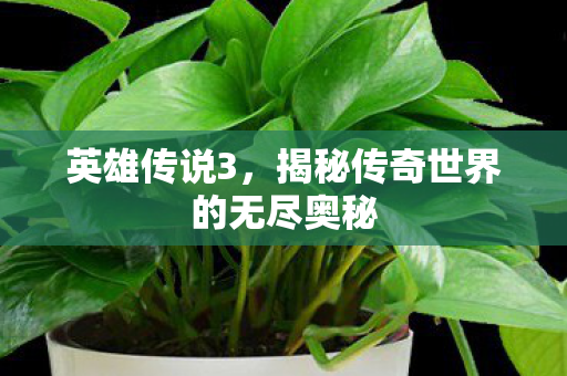 揭秘传奇世界的无尽奥秘图片