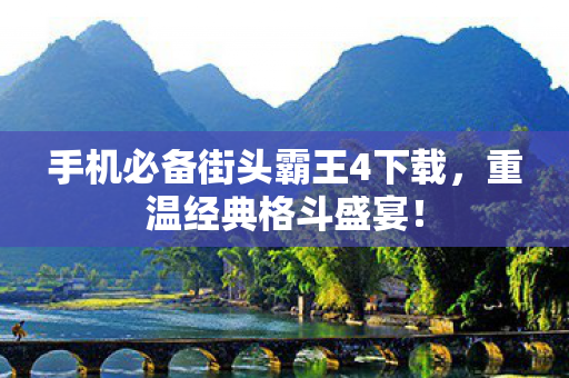 手机必备街头霸王4下载图片