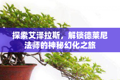 解锁德莱尼法师的神秘幻化之旅图片