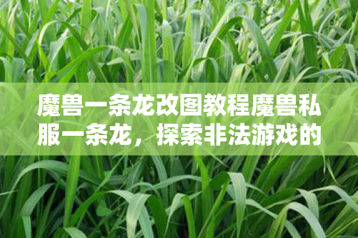 魔兽一条龙改图教程魔兽私服一条龙,探索非法游戏的灰色地带,警惕魔兽私服一条龙,探索非法游戏的灰色地带 魔兽一条龙改图教程魔兽私服一条龙,探索非法游戏的灰色地带,警惕魔兽私服一条龙,探索非法游戏的灰色地带