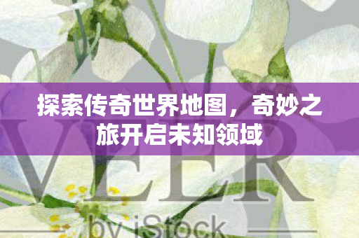 奇妙之旅开启未知领域图片