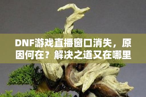 DNF游戏直播窗口消失图片