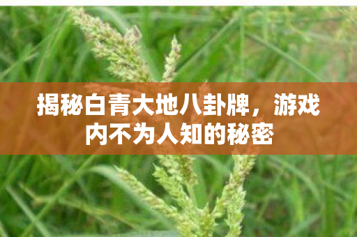 揭秘白青大地八卦牌,游戏内不为人知的秘密 揭秘白青大地八卦牌,游戏内不为人知的秘密