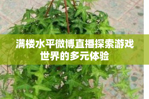 满楼水平微博直播探索游戏世界的多元体验 满楼水平微博直播探索游戏世界的多元体验