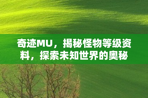 奇迹MU,揭秘怪物等级资料,探索未知世界的奥秘 奇迹MU,揭秘怪物等级资料,探索未知世界的奥秘