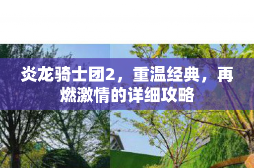 再燃激情的详细攻略图片