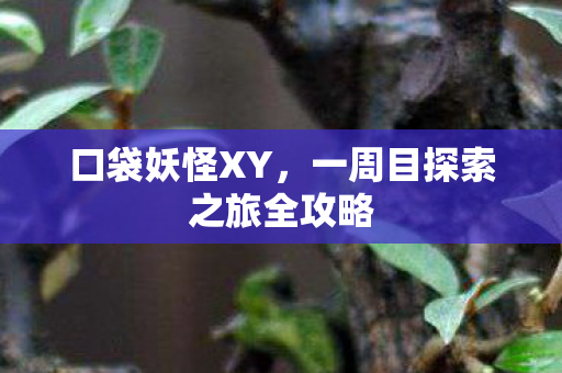 一周目探索之旅全攻略图片