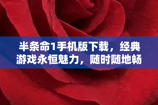 半条命1手机版下载图片