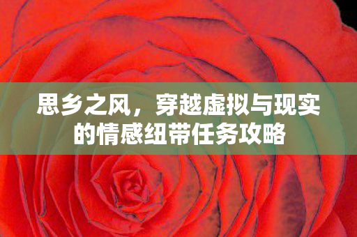 穿越虚拟与现实的情感纽带任务攻略图片