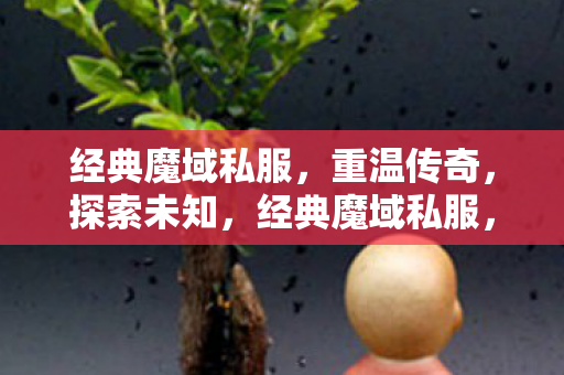 经典魔域私服，重温传奇，探索未知，经典魔域私服，重温传奇，探索未知