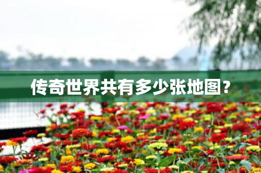 传奇世界共有多少张地图图片