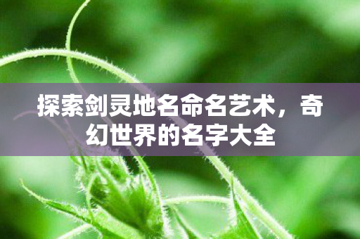 探索剑灵地名命名艺术图片