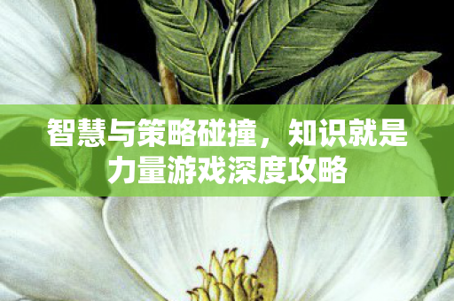 知识就是力量游戏深度攻略图片