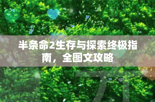 半条命2生存与探索终极指南，全图文攻略