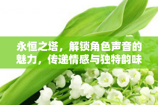 永恒之塔，解锁角色声音的魅力，传递情感与独特韵味