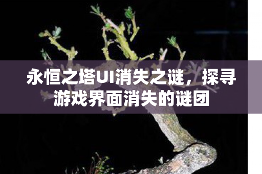 永恒之塔UI消失之谜,探寻游戏界面消失的谜团 永恒之塔UI消失之谜,探寻游戏界面消失的谜团