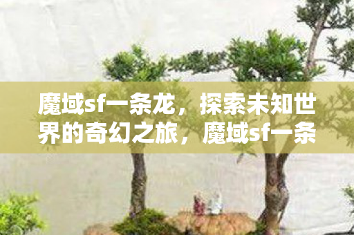 魔域sf一条龙,探索未知世界的奇幻之旅,魔域sf一条龙,探索未知世界的奇幻之旅 魔域sf一条龙,探索未知世界的奇幻之旅,魔域sf一条龙,探索未知世界的奇幻之旅