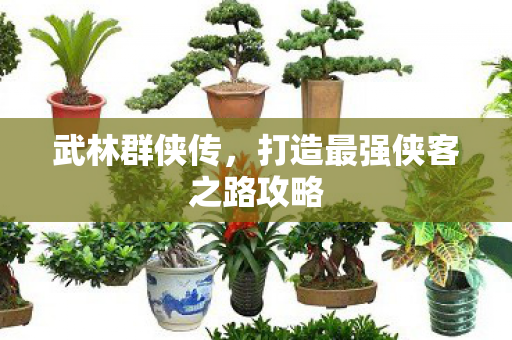 打造最强侠客之路攻略图片