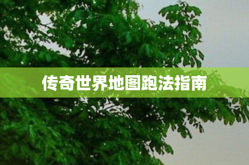 传奇世界地图跑法指南图片