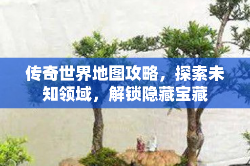 传奇世界地图攻略图片