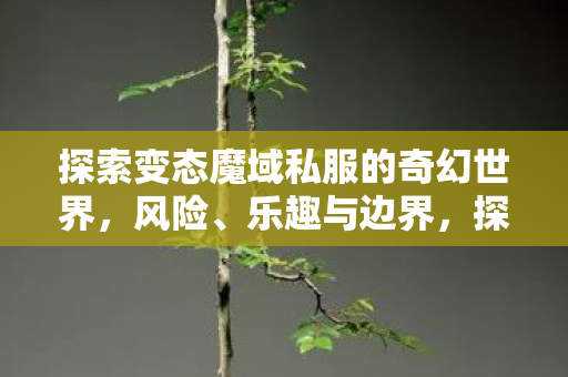 探索变态魔域私服的奇幻世界图片