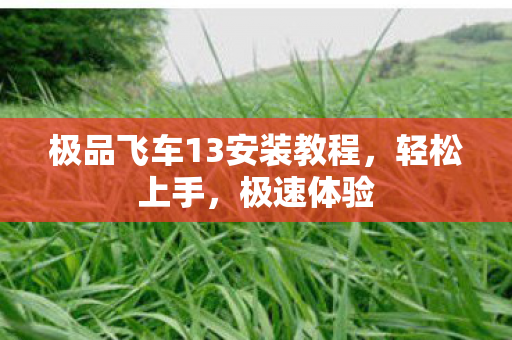 极品飞车13安装教程图片