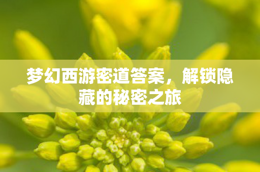 解锁隐藏的秘密之旅图片