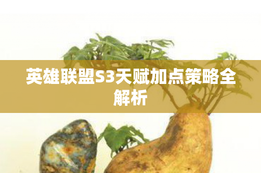 英雄联盟S3天赋加点策略全解析图片