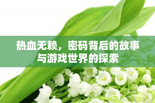 密码背后的故事与游戏世界的探索图片