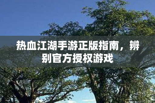 热血江湖手游正版指南图片