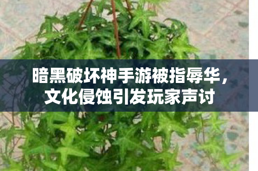 暗黑破坏神手游被指辱华图片
