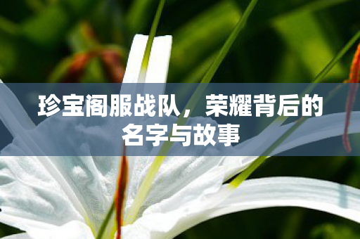 荣耀背后的名字与故事图片