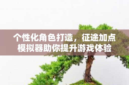 征途加点模拟器助你提升游戏体验图片