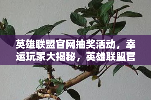 英雄联盟官网抽奖活动图片
