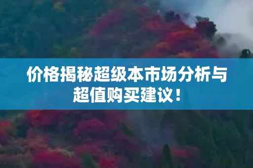 价格揭秘超级本市场分析与超值购买建议图片