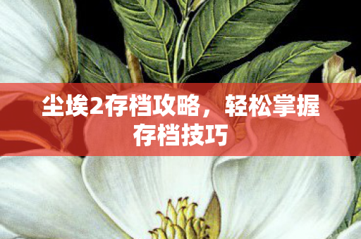 轻松掌握存档技巧图片