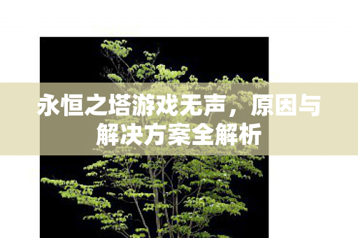 永恒之塔游戏无声，原因与解决方案全解析
