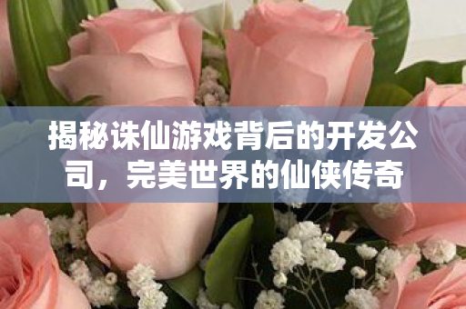 揭秘诛仙游戏背后的开发公司图片