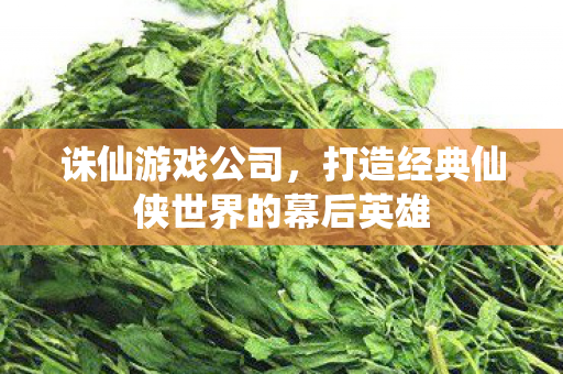 打造经典仙侠世界的幕后英雄图片