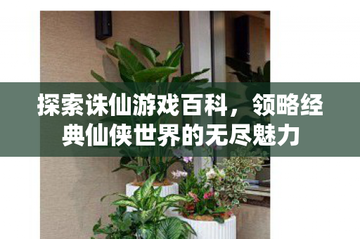 领略经典仙侠世界的无尽魅力图片