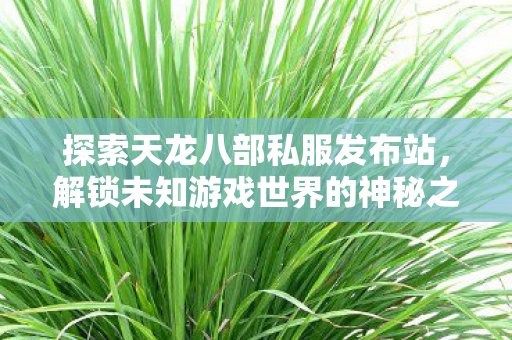 解锁未知游戏世界的神秘之旅图片
